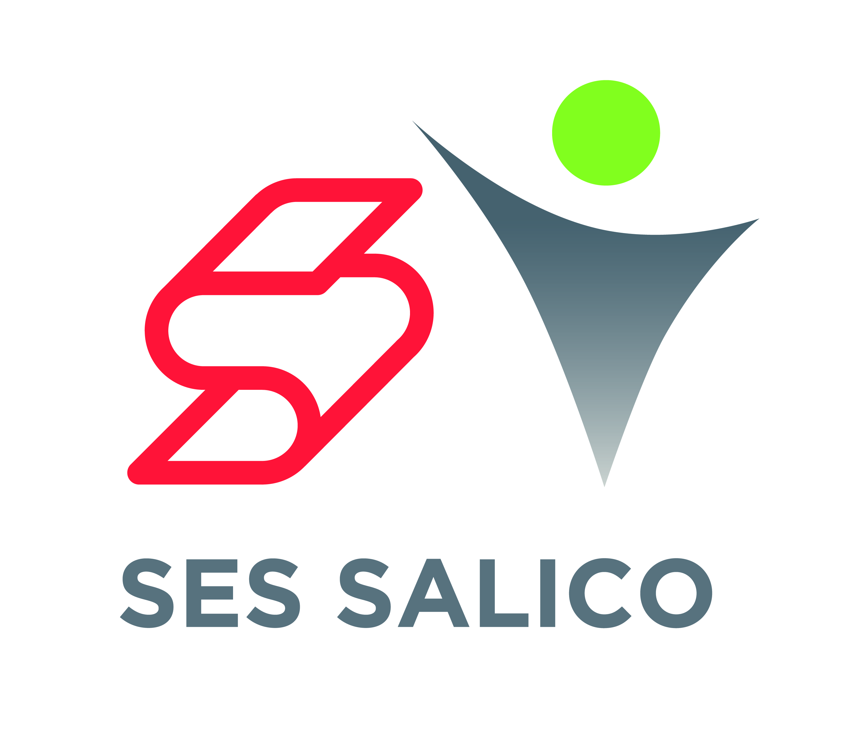 Ses salico logo