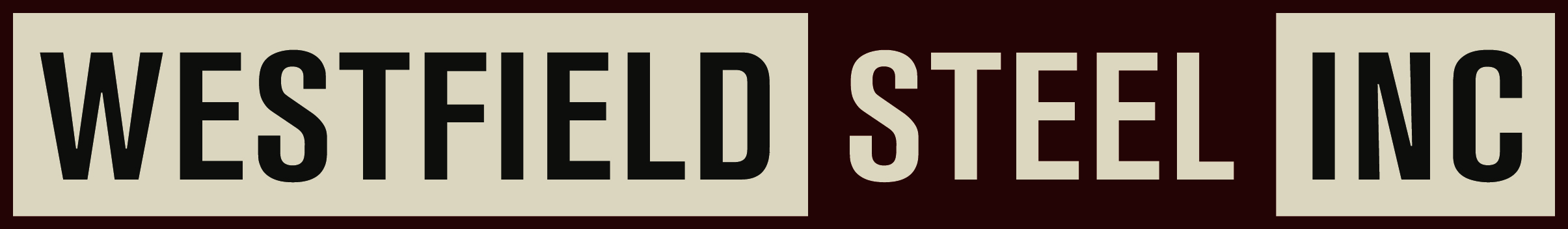 Ws logo color